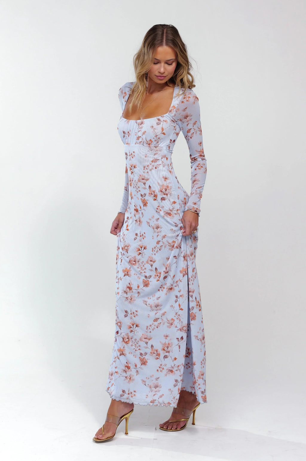 Sheveta Brittany Dress In Whimsy