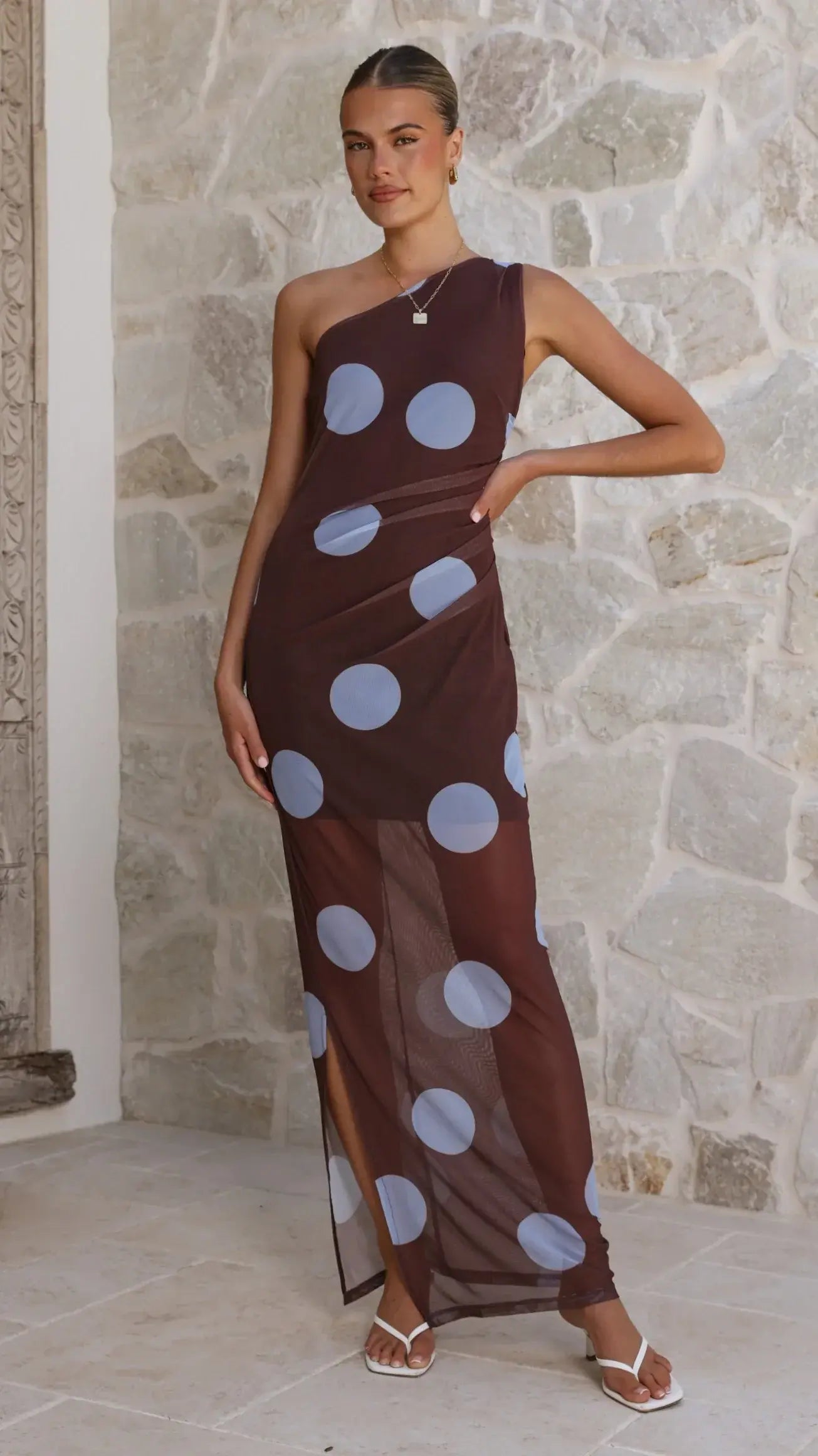 Cataleya Mesh Maxi Dress - Brown / Blue Polka Dot