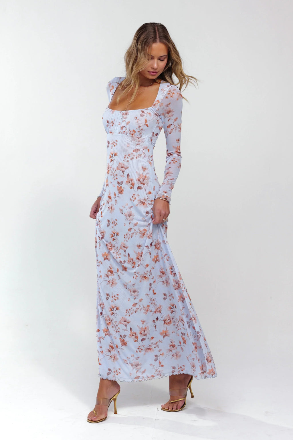 Sheveta Brittany Dress In Whimsy