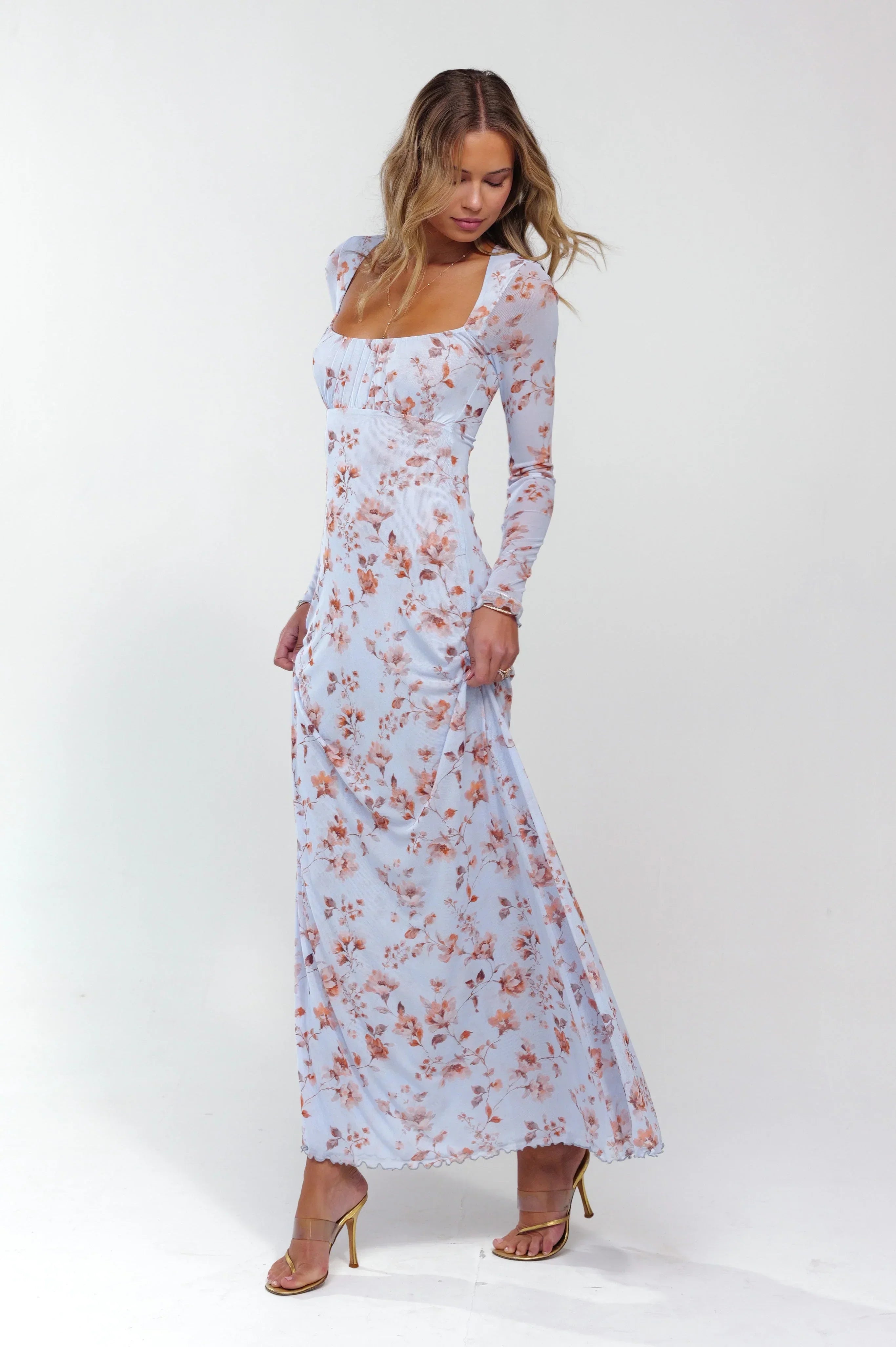 Sheveta Brittany Dress In Whimsy
